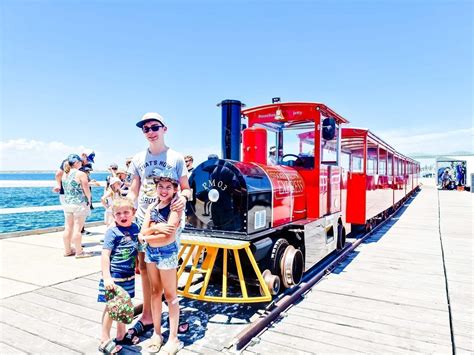 Busselton Jetty Underwater Observatory - Buggybuddys guide to Perth