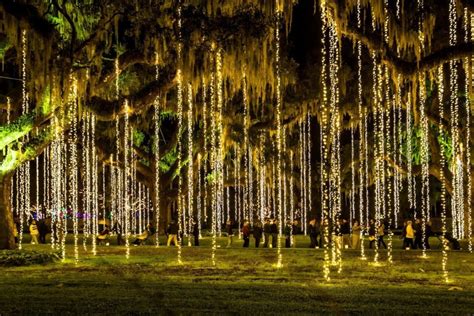 Guide to Nights of a Thousand Candles at Brookgreen Gardens ...