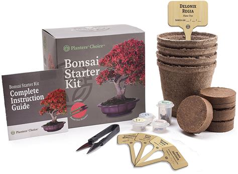 Bonsai Starter Kits | Bonsai Tree Gardener