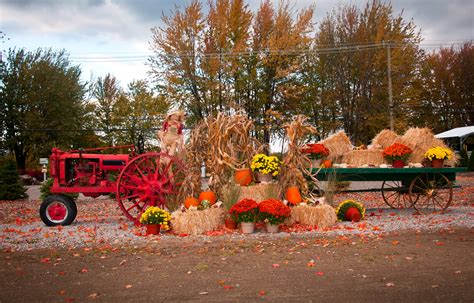 Places to Take a Hayride or Wagon Ride in the Stateline | Stateline Kids