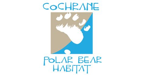 OUR BEARS | Polar Bear Habitat