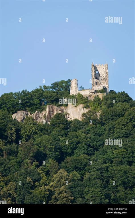 Drachenfels, Dragon's Rock, ruins of Drachenfels Castle on the Rhine, Koenigswinter, North Rhine ...