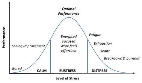 Stress & Cancer | Integrative Cancer Review