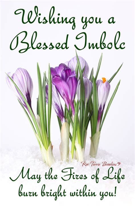 Celebrating Imbolc & Goddess Brigid ~ Pray ~ Love ~ Train ~ Create ...