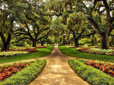 A view like this can only be spotted in the Brookgreen Gardens! #MyHammockCoast | Myrtle beach ...