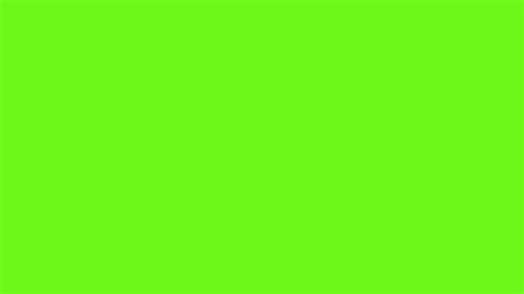 Blank Green Screen Background