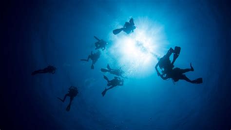 Types of Diving - Scuba Nomad Roatan