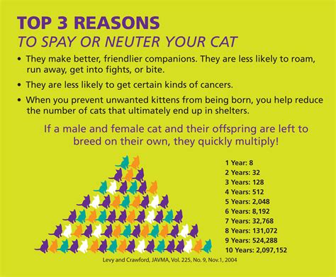 ONE DAY LOW-COST SPAY/NEUTER CAT CLINIC | The Humane Society of Greenwood