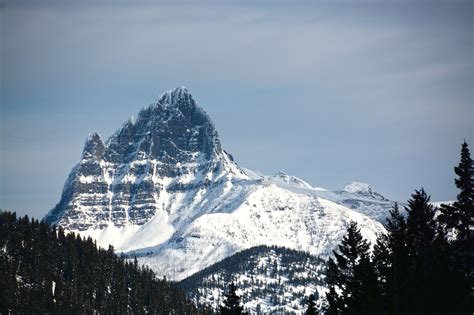 Glacier Adventure Guides - Guided Winter Tours of Glacier National Park