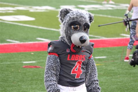 Meet Lobo Louie, mascot of the University of New Mexico sp… | Flickr