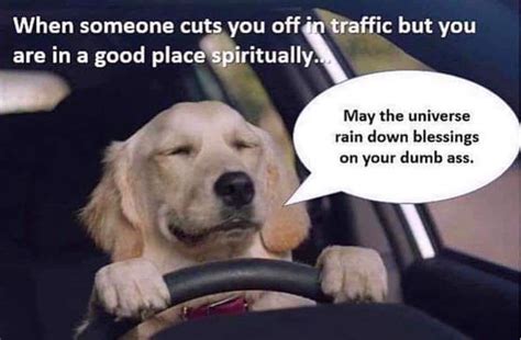 When someone cuts you off traffic but you are in a good place spiritually. May the universe rain ...