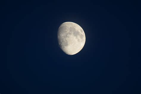 Gambar : langit, malam, suasana, bulan purnama, sinar bulan, lingkaran ...