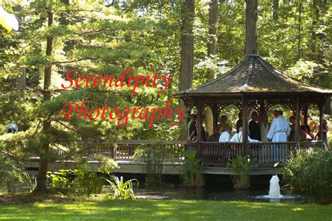 Serendipitous Moments: Toledo Botanical Garden wedding ceremony