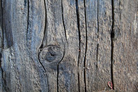 Old Cracked Plank Free Stock Photo - Public Domain Pictures
