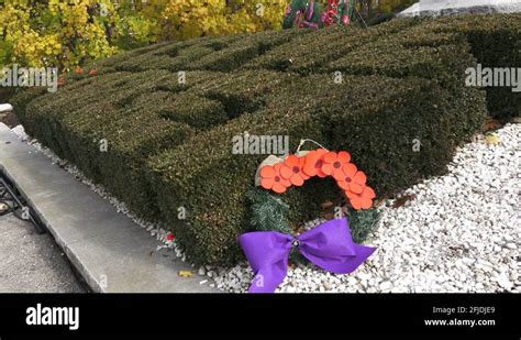 Remembrance day poppy soldiers Stock Videos & Footage - HD and 4K Video Clips - Alamy