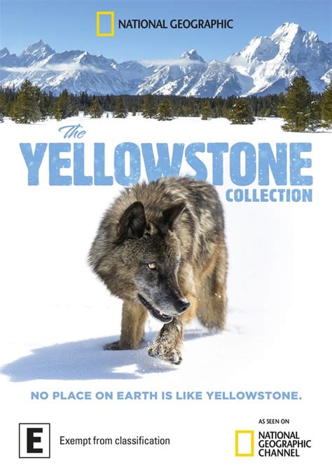 The Yellowstone Collection | DVD | Buy Now | at Mighty Ape Australia