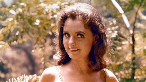 Hollywood Pays Tribute to Beloved 'Gilligan's Island' Actress Dawn Wells