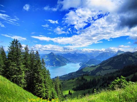 Lake of Lucerne | Switzerland | Lucerne switzerland, Lake, Lucerne