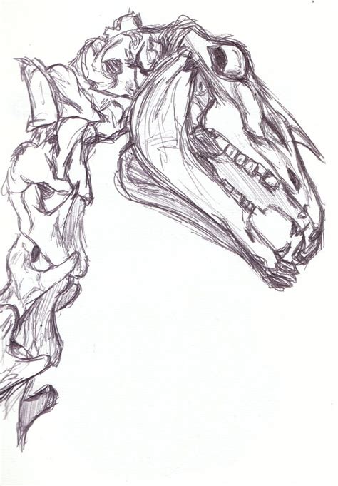 horse skull reference drawing | Animal skull drawing, Horse skull ...