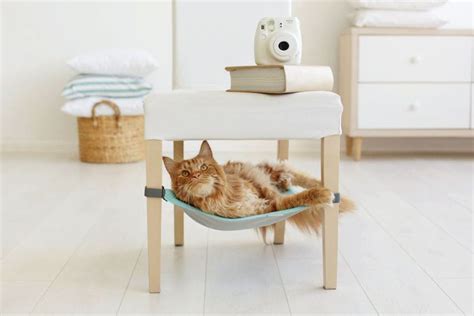 13 Cat Hammocks That Are Puurrfect for Your Feline BFF