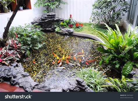 Chinese Small Family Garden Koi Pond Stock Photo 29470267 | Shutterstock