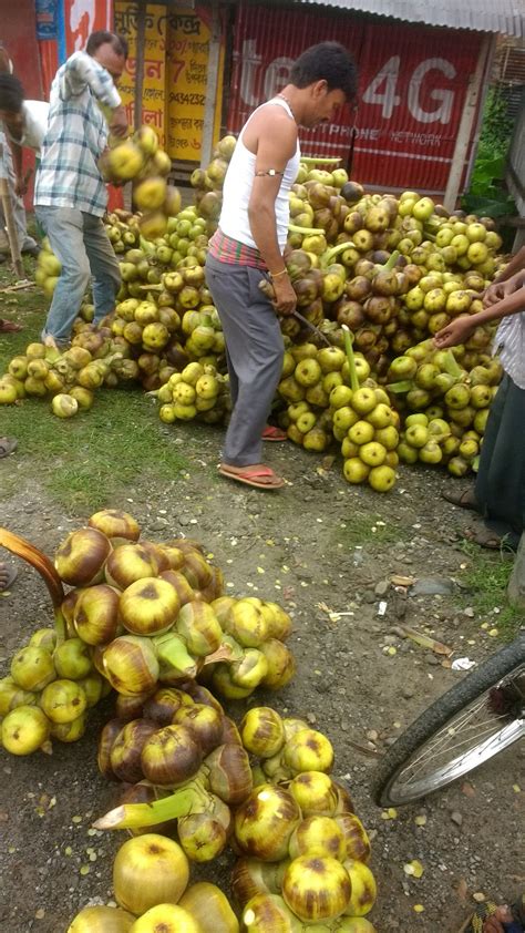 Asian Palmyra palm (Tal/Taal) fruit of Summer | Caribbean recipes ...