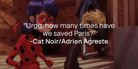 45 Cat Noir Quotes and the Charismatic Power of the Mask