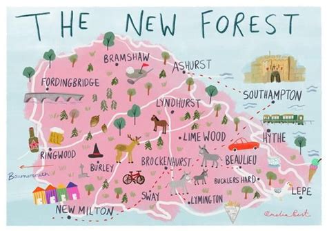 The New Forest Illustrated Map A4 Giclée Illustration Print | Etsy | Illustrated map ...