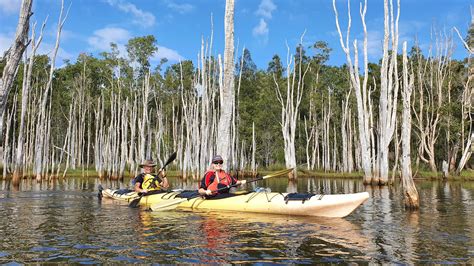 Kayaking - Lake Munmorah - Out and About Adventures