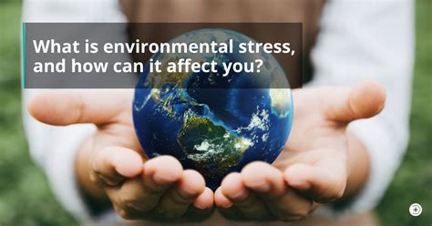 What is environmental stress, and how can it affect you? - First Aid ...