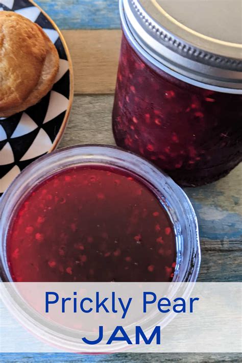 Prickly Pear Jam Recipe (No Pectin!) - Mama Likes To Cook