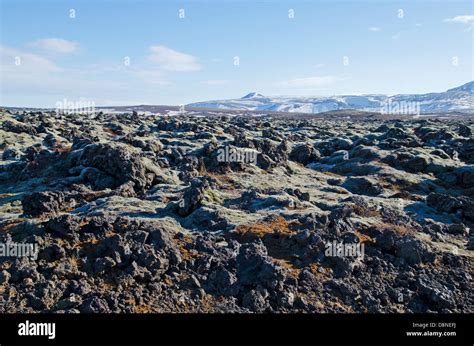 Lava fields, Iceland Stock Photo - Alamy