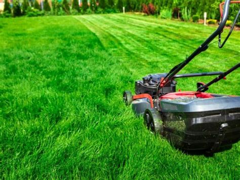 5 Lawn Mowing Patterns Techniques