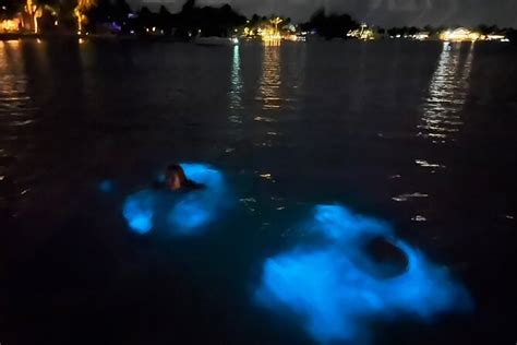 Private: Bioluminescence Tour 2024 - Grand Cayman - Viator