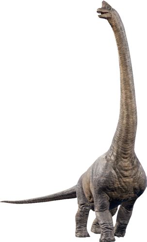 Brachiosaurus | Jurassic World Evolution Wiki | Fandom