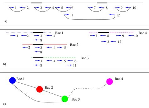 Example of an adjacency graph. a) is the original sequence with mate ...