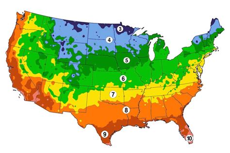 What to plant now | Vegetable planting calendar, Urban farmer, Planting ...