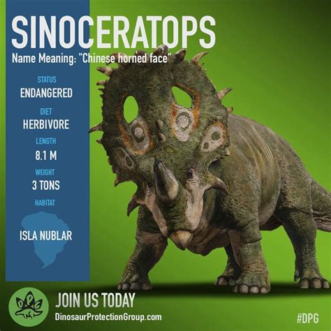 They were here first! (Jurassic World Fallen Kingdom - Sinoceratops) | Jurassic world dinosaurs ...