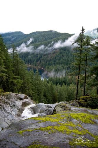 Swan Falls Trail Photo | Hiking Photo Contest | Vancouver Trails