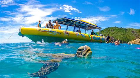 The Best Snorkelling Tour Airlie Beach