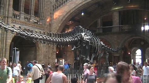 "Natural History Museum", Dinosaur Central, South Kensington, London - YouTube