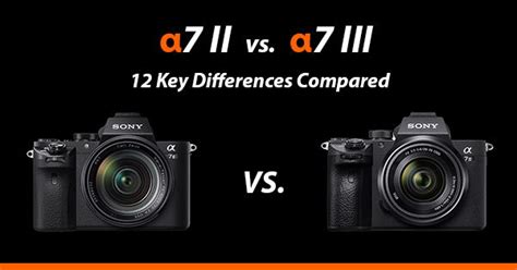 Sony a7II vs a7III - 12 Key Differences Compared - Alpha Shooters