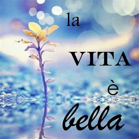 La vita e bella | Italian quotes, Italian life, Italian language