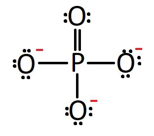 How to draw a lewis structure of PO${_4^{3-}}$ (phosphate) i | Quizlet