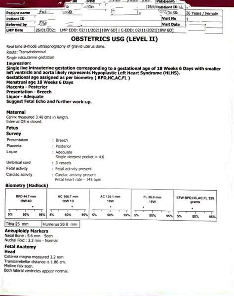 Level 2 ultrasound रिपोर्ट देखना सीखे | How To Read Ultrasound Report ...