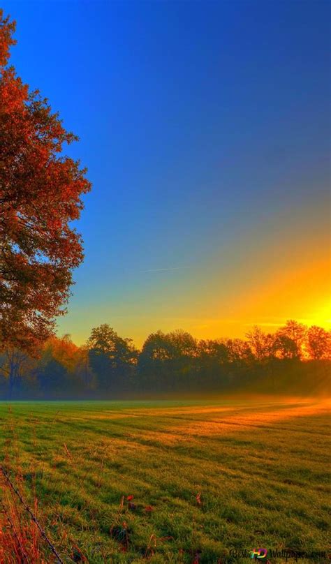 Autumn and sunset 4K wallpaper download