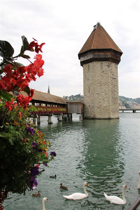 Lucerne Switzerland Bridge - Free photo on Pixabay - Pixabay