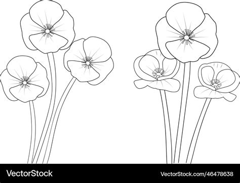 Simple poppy flower drawing coloring page Vector Image