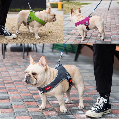 French bulldog Harness – frenchie Shop