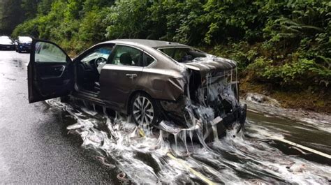 Oozing hagfish spill covers Oregon highway with slime